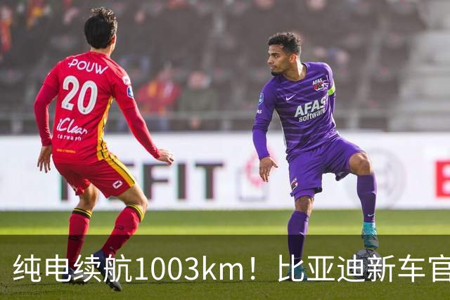 纯电续航1003km！比亚迪新车官宣，10月26日开启小订